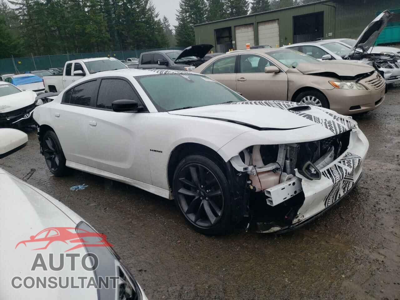 DODGE CHARGER 2019 - 2C3CDXCT2KH722234
