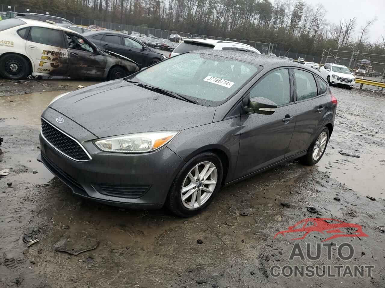 FORD FOCUS 2016 - 1FADP3K22GL294593