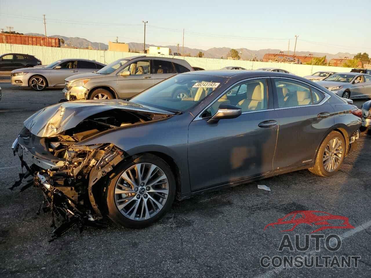 LEXUS ES300 2021 - 58ADA1C14MU009098