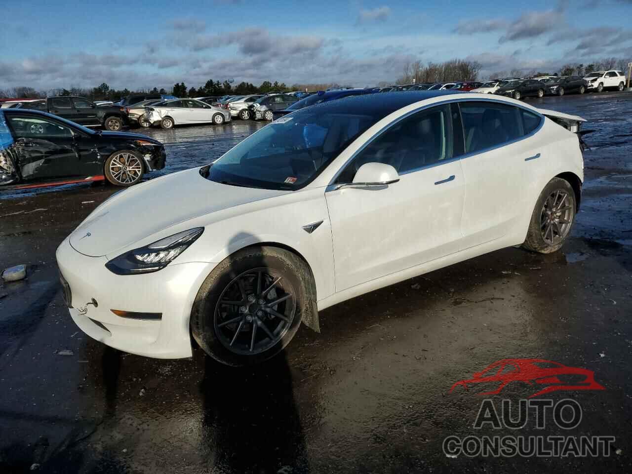 TESLA MODEL 3 2020 - 5YJ3E1EA1LF775113