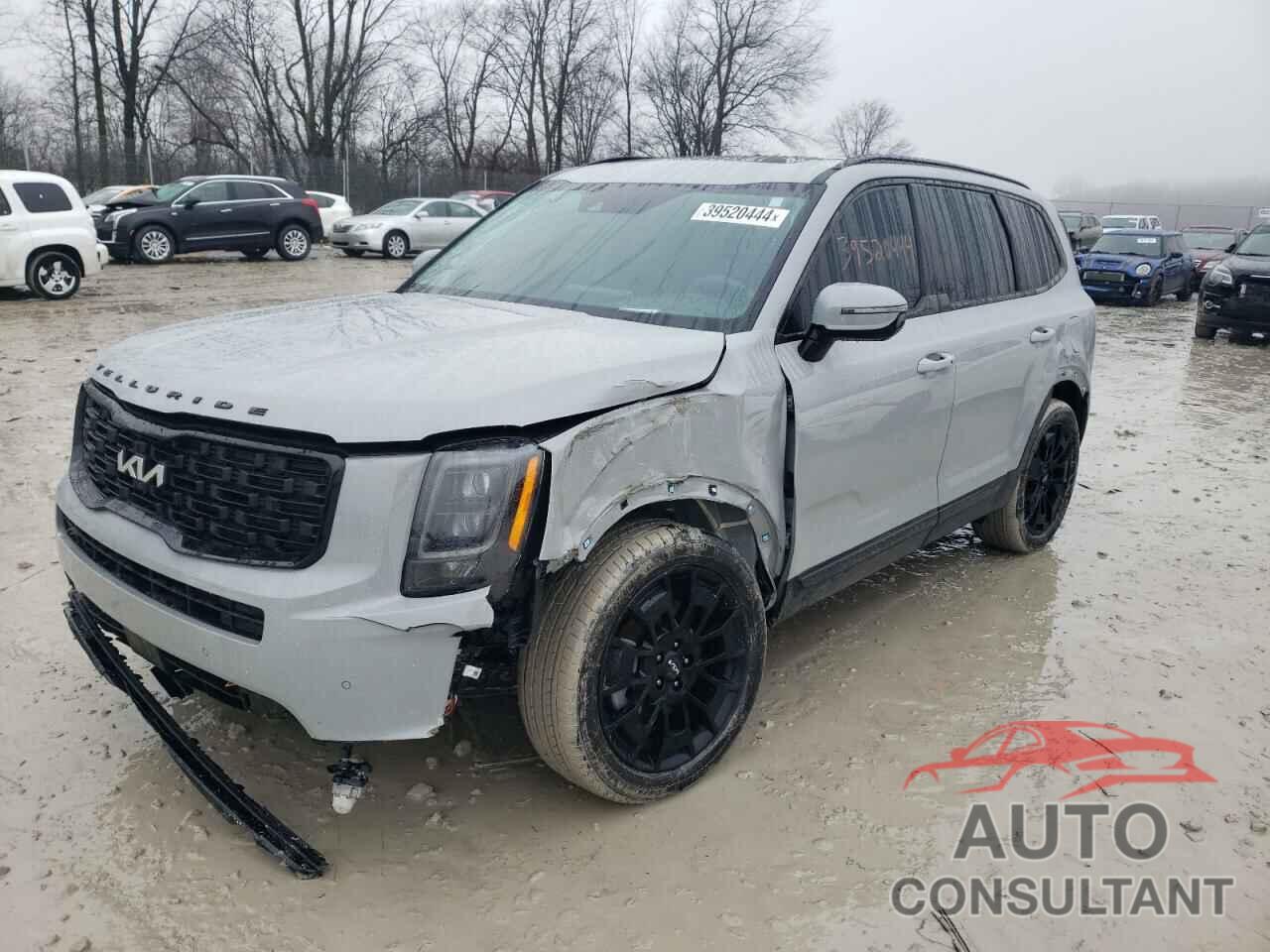 KIA TELLURIDE 2022 - 5XYP5DHC6NG311035