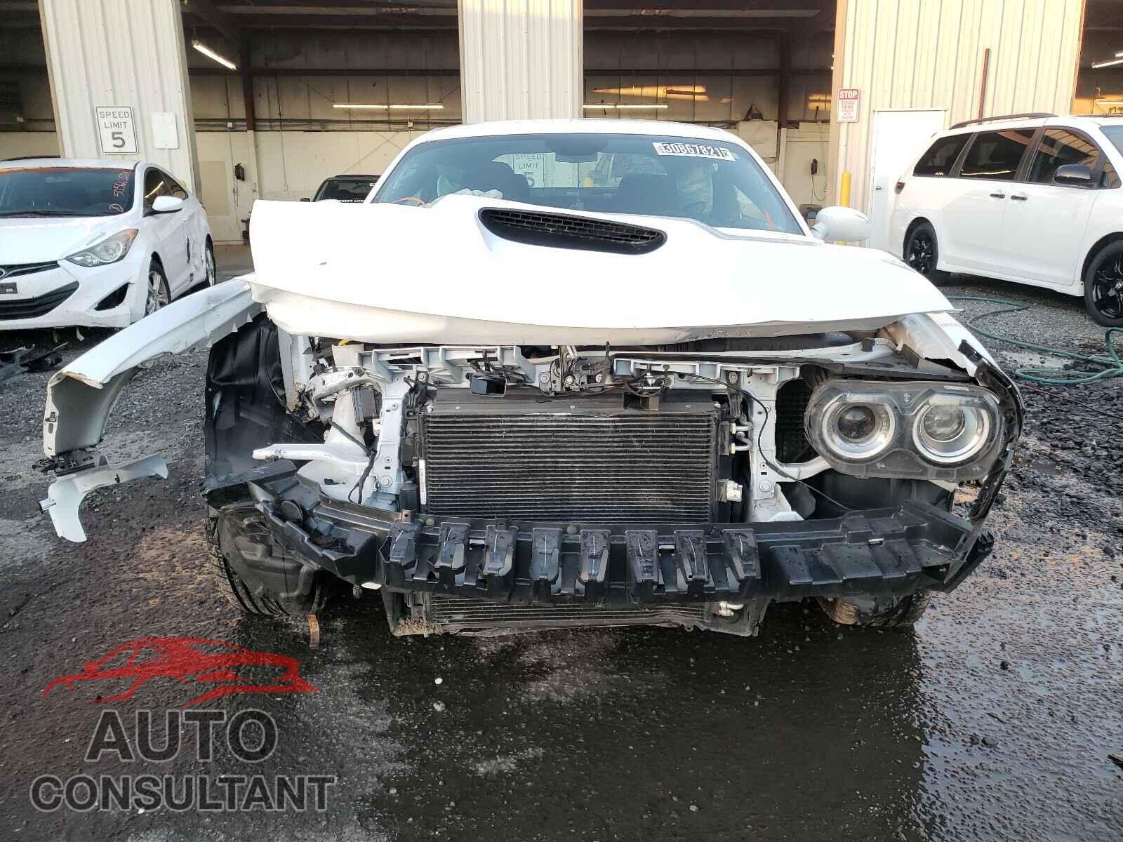 DODGE CHALLENGER 2019 - 2C3CDZBT4KH629471