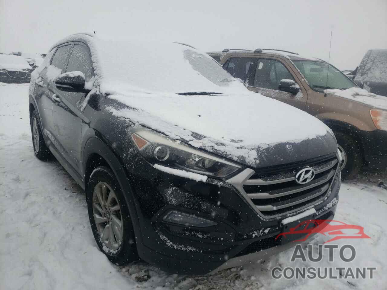 HYUNDAI TUCSON 2017 - 4S3BNBN61G3010421