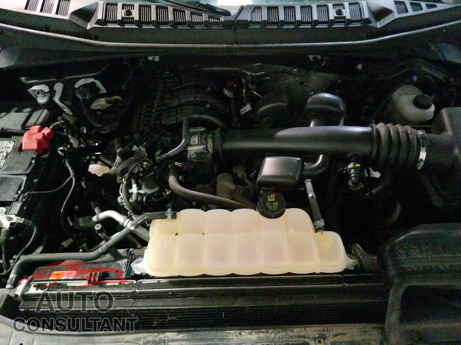 FORD F150 2019 - 1FTEX1EB0KFA38457