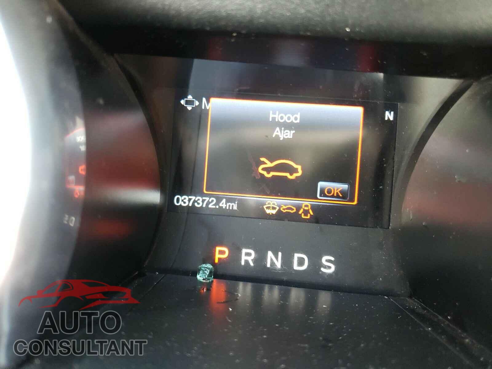 FORD MUSTANG 2019 - 1FA6P8CF2K5185166