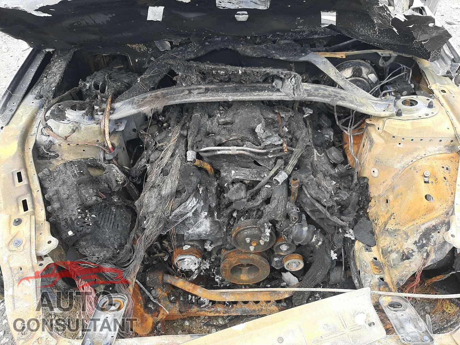 FORD MUSTANG 2019 - 1FA6P8CF2K5124254