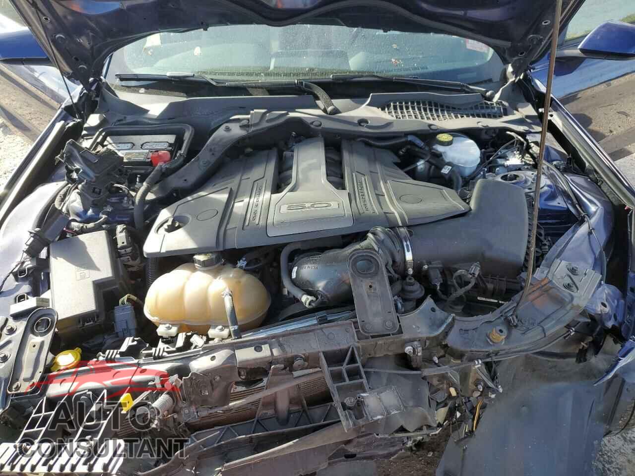 FORD MUSTANG 2019 - 1FA6P8CF2K5205352