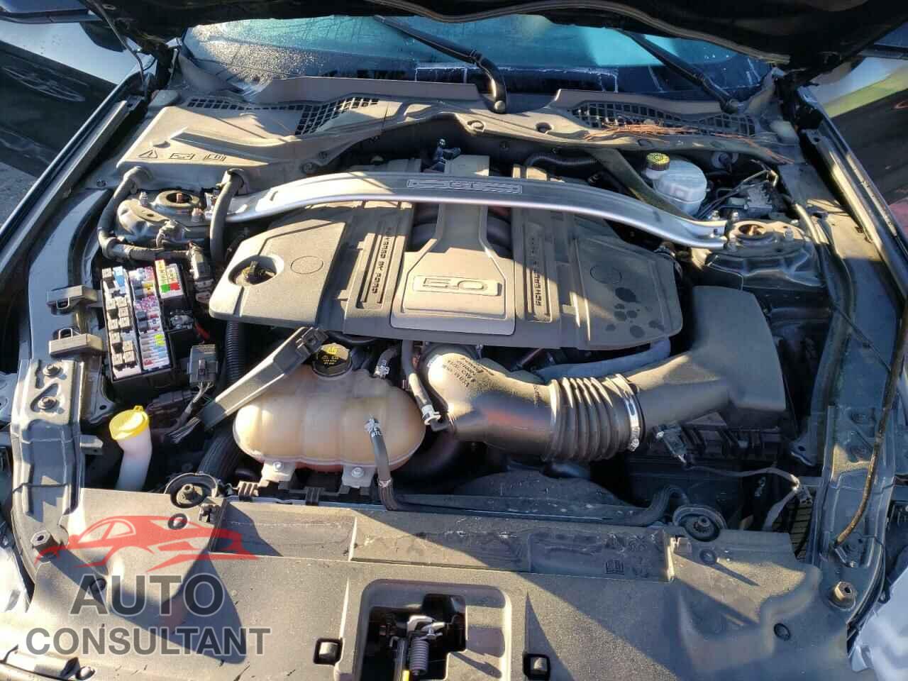 FORD MUSTANG 2019 - 1FA6P8CF3K5147025