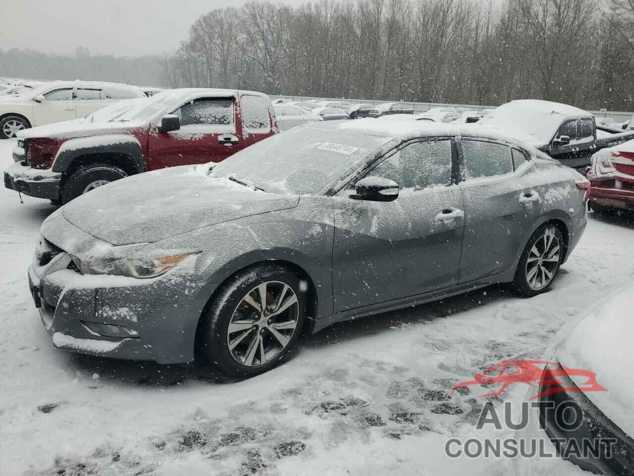 NISSAN MAXIMA 2016 - 1N4AA6APXGC435767