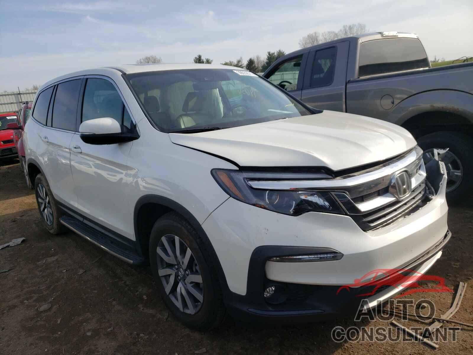 HONDA PILOT 2019 - 5FNYF6H5XKB085891