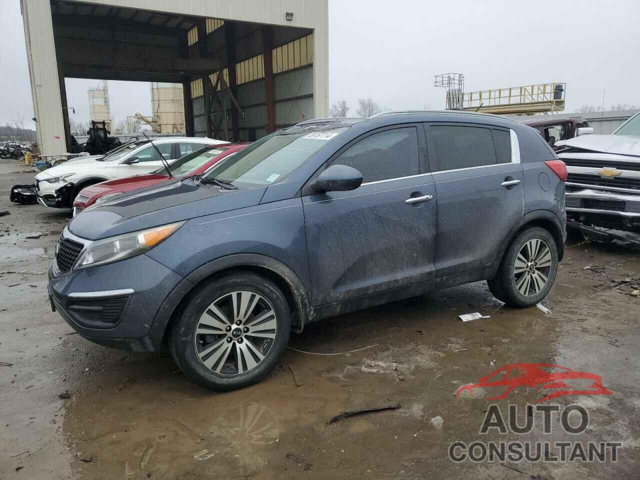KIA SPORTAGE 2016 - KNDPC3AC6G7845517