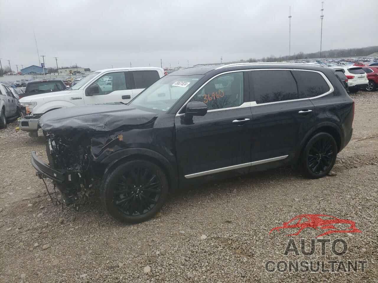 KIA TELLURIDE 2021 - 5XYP5DHC0MG146064