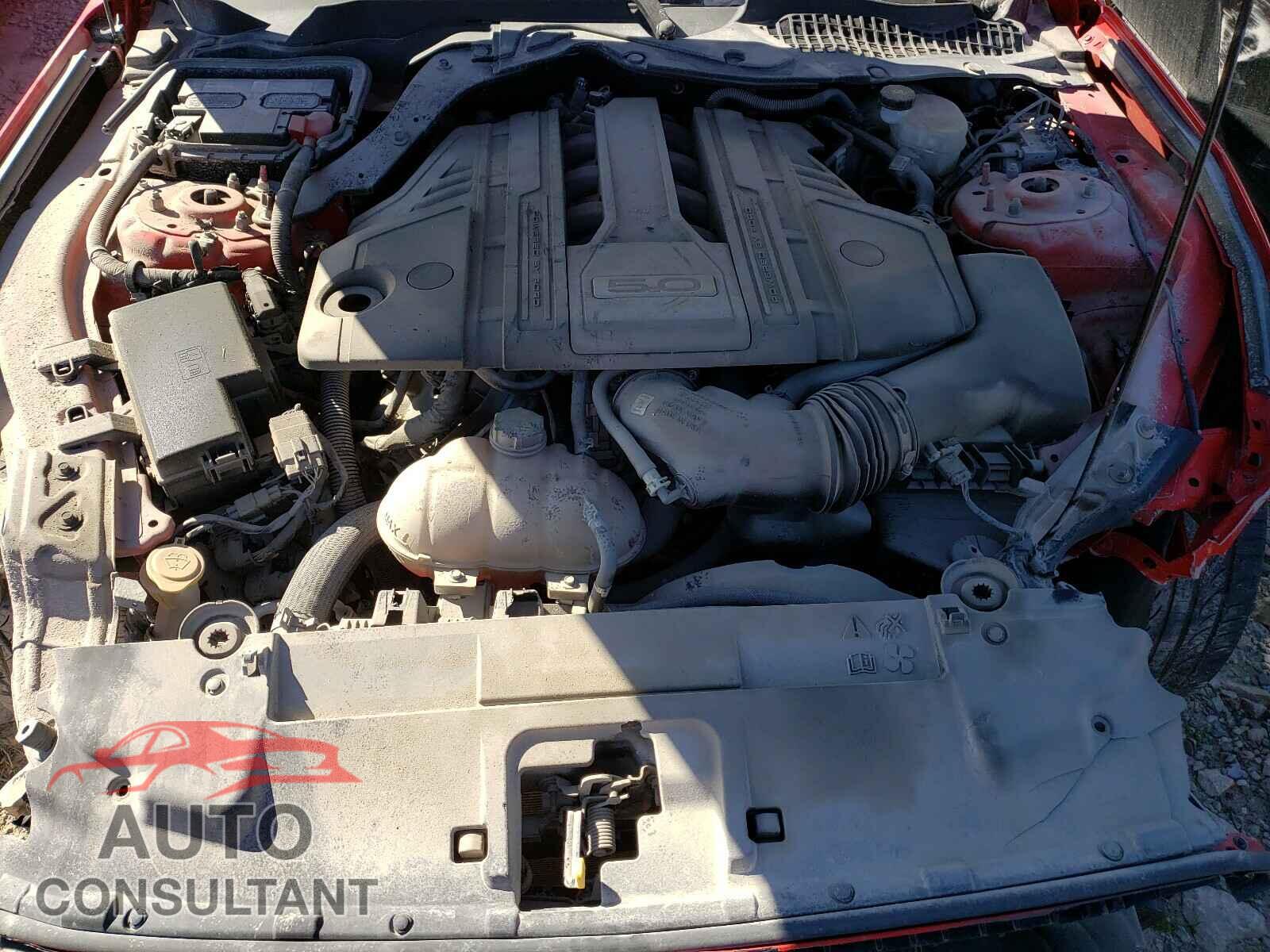 FORD MUSTANG 2019 - 1FA6P8CF3K5201651