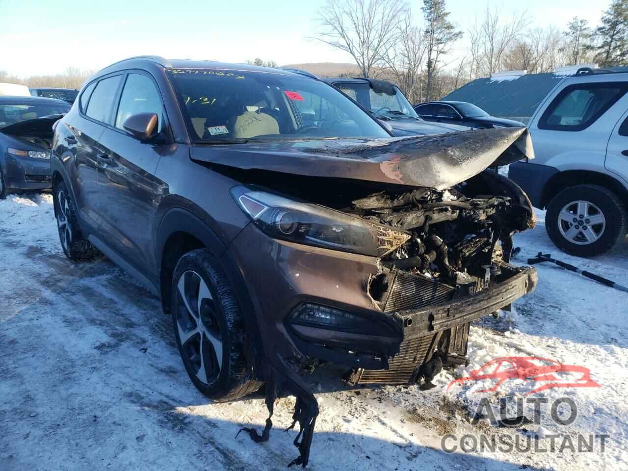HYUNDAI TUCSON 2017 - KM8J3CA23HU415276