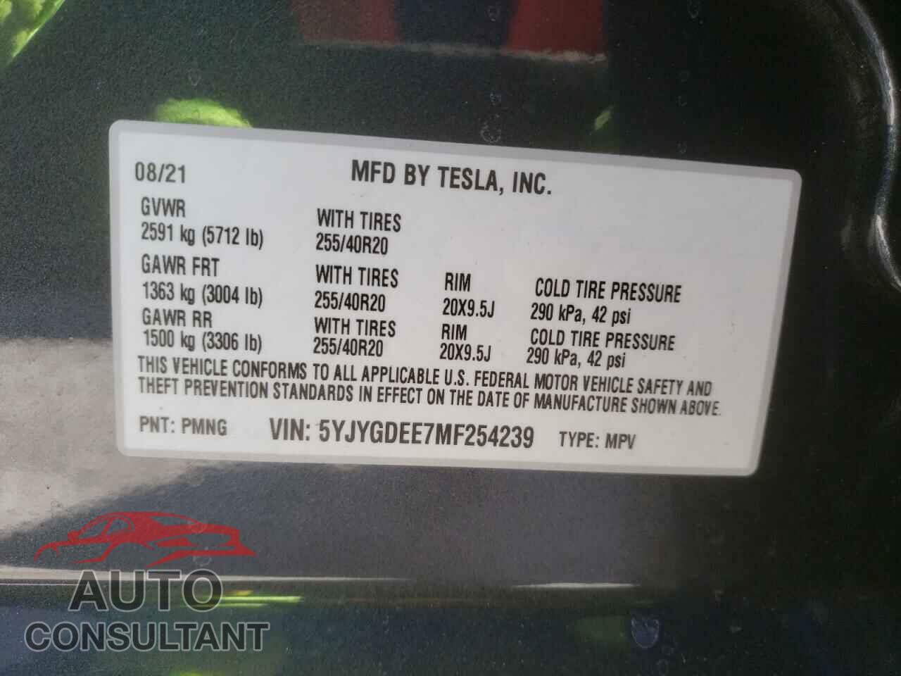 TESLA MODEL Y 2021 - 5YJYGDEE7MF254239