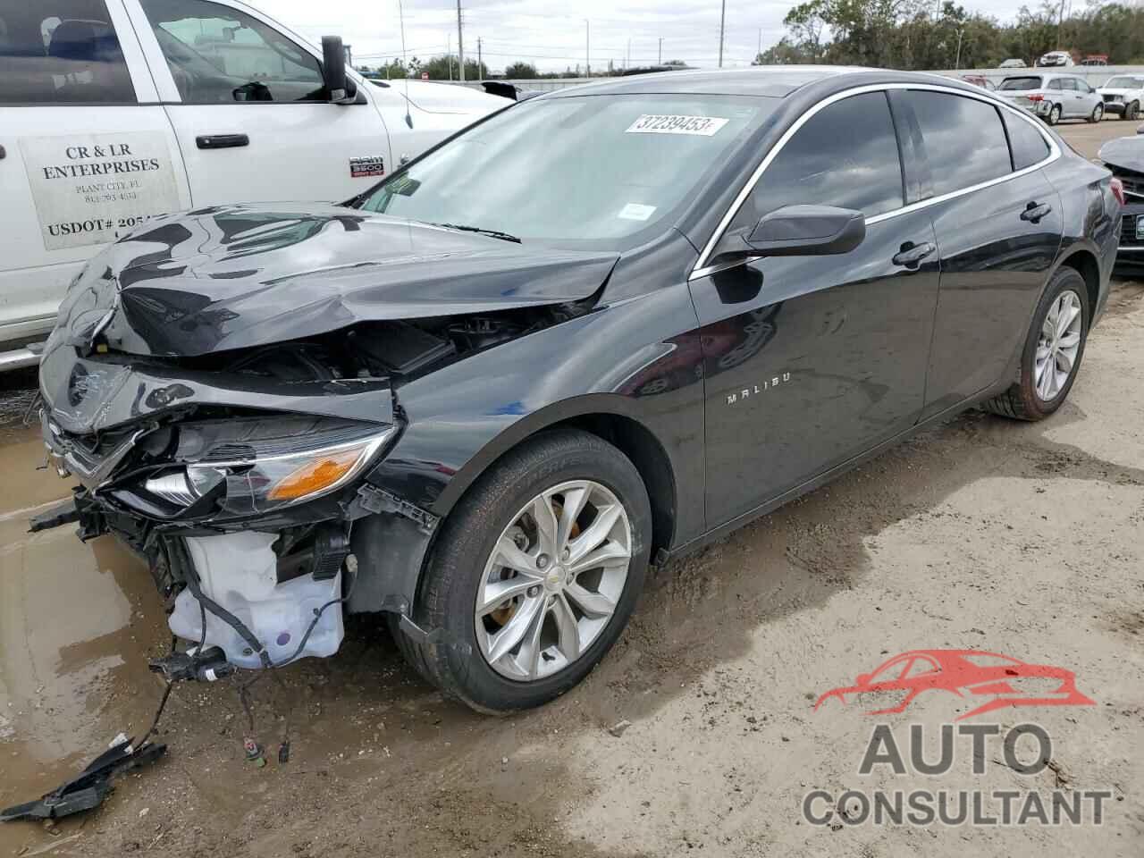CHEVROLET MALIBU 2019 - 1G1ZD5ST9KF162220