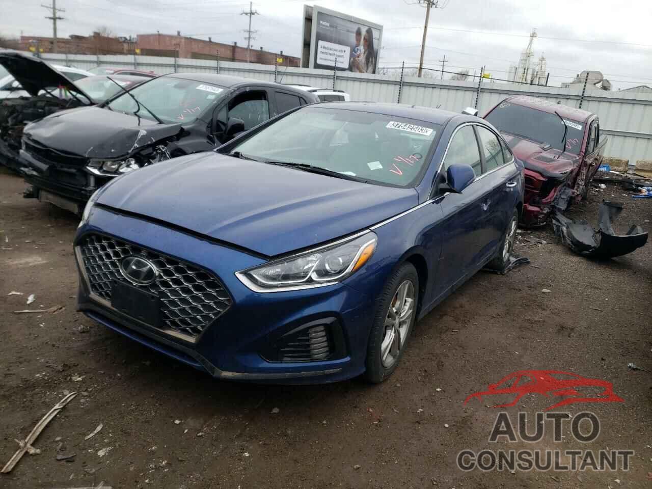 HYUNDAI SONATA 2019 - 5NPE34AF2KH787837