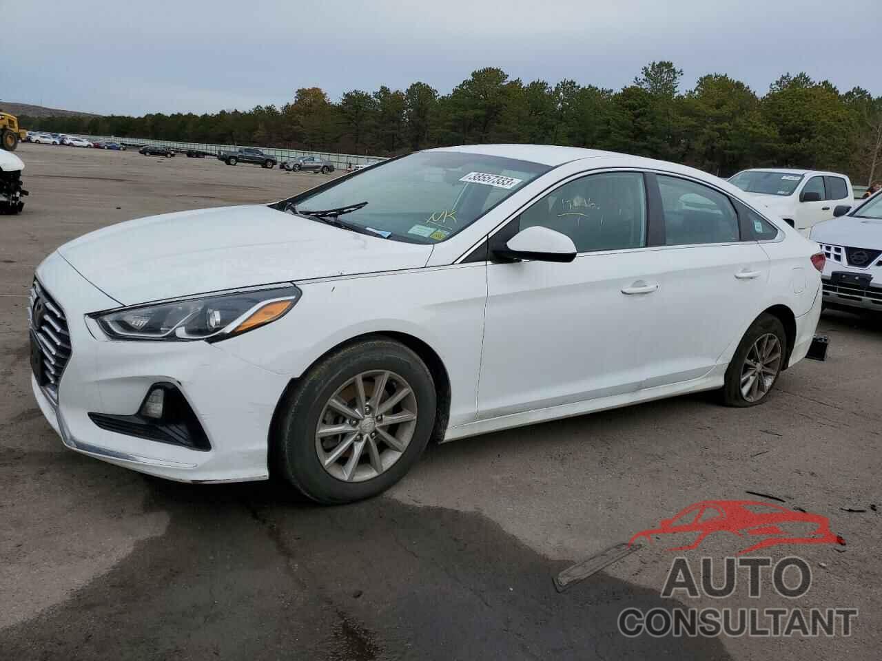 HYUNDAI SONATA 2018 - 5NPE24AFXJH716189