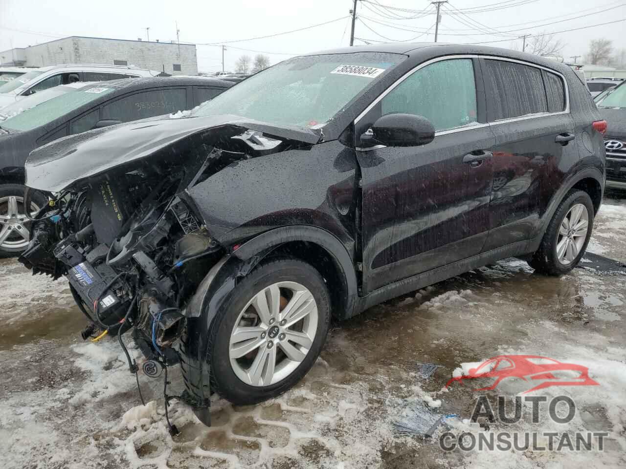 KIA SPORTAGE 2017 - KNDPM3AC7H7114920