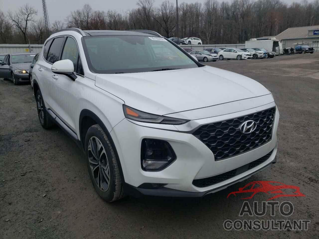 HYUNDAI SANTA FE 2019 - 5NMS5CAAXKH029382