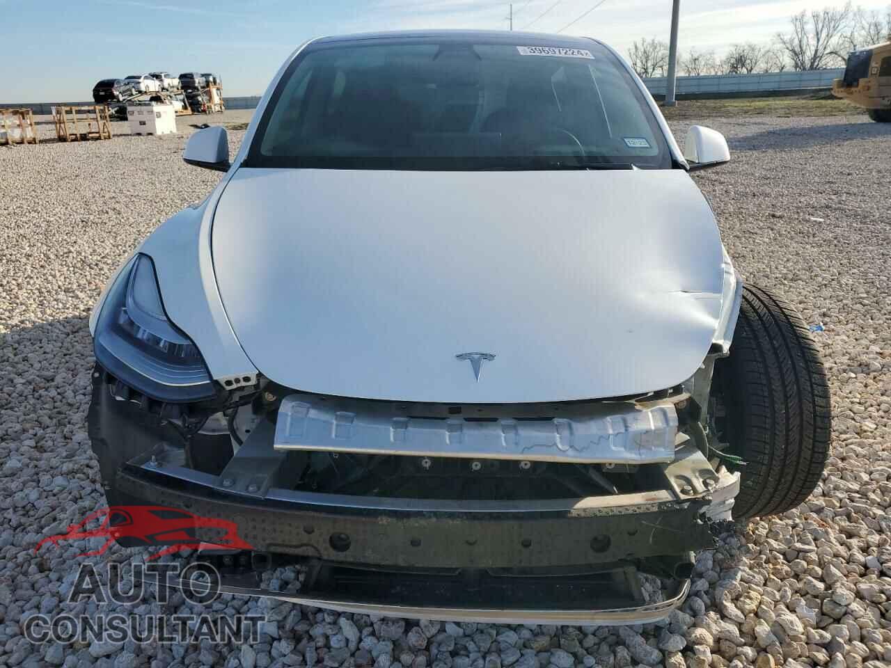 TESLA MODEL Y 2022 - 7SAYGAEE7NF336216