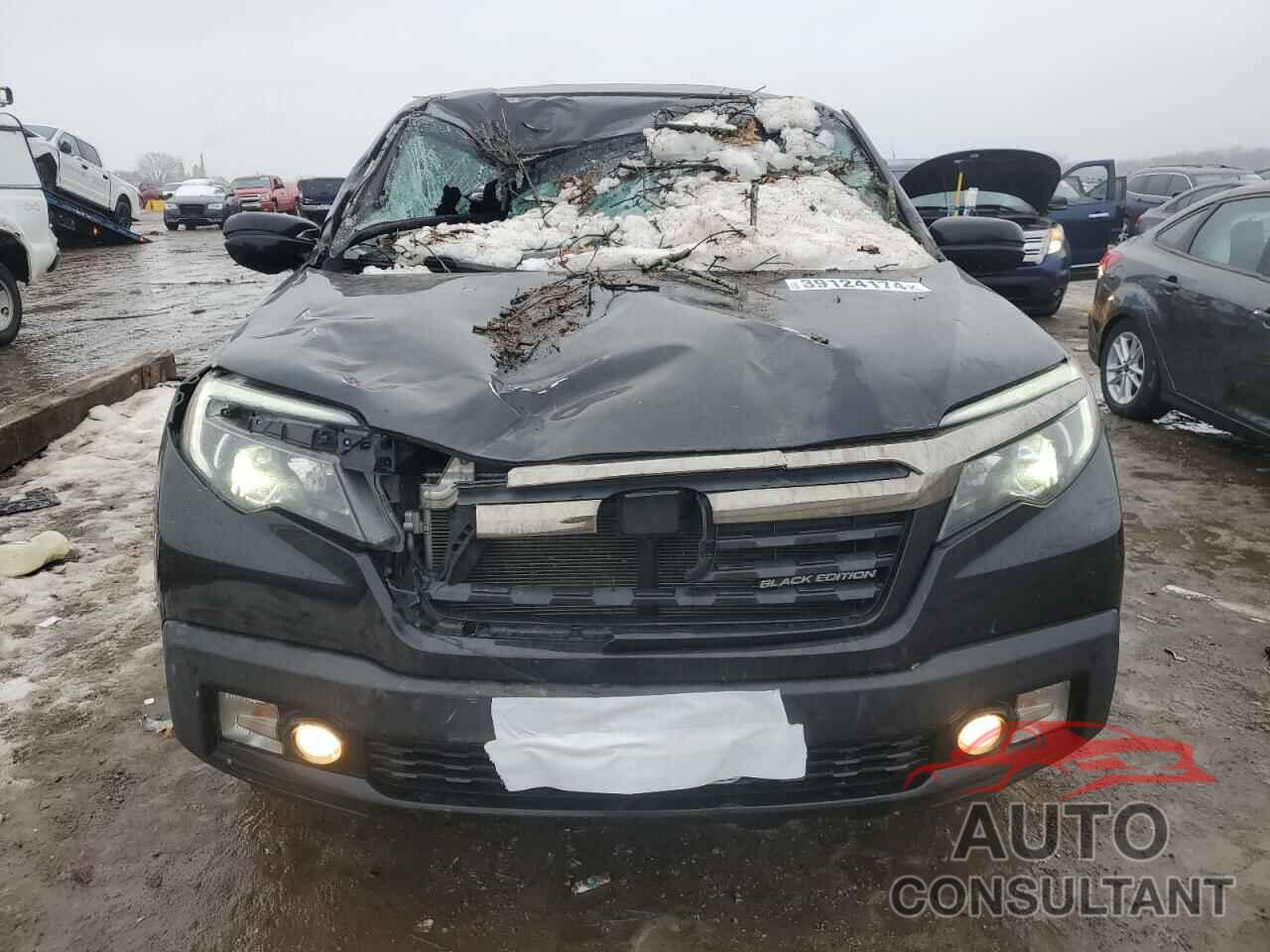 HONDA RIDGELINE 2019 - 5FPYK3F83KB038541