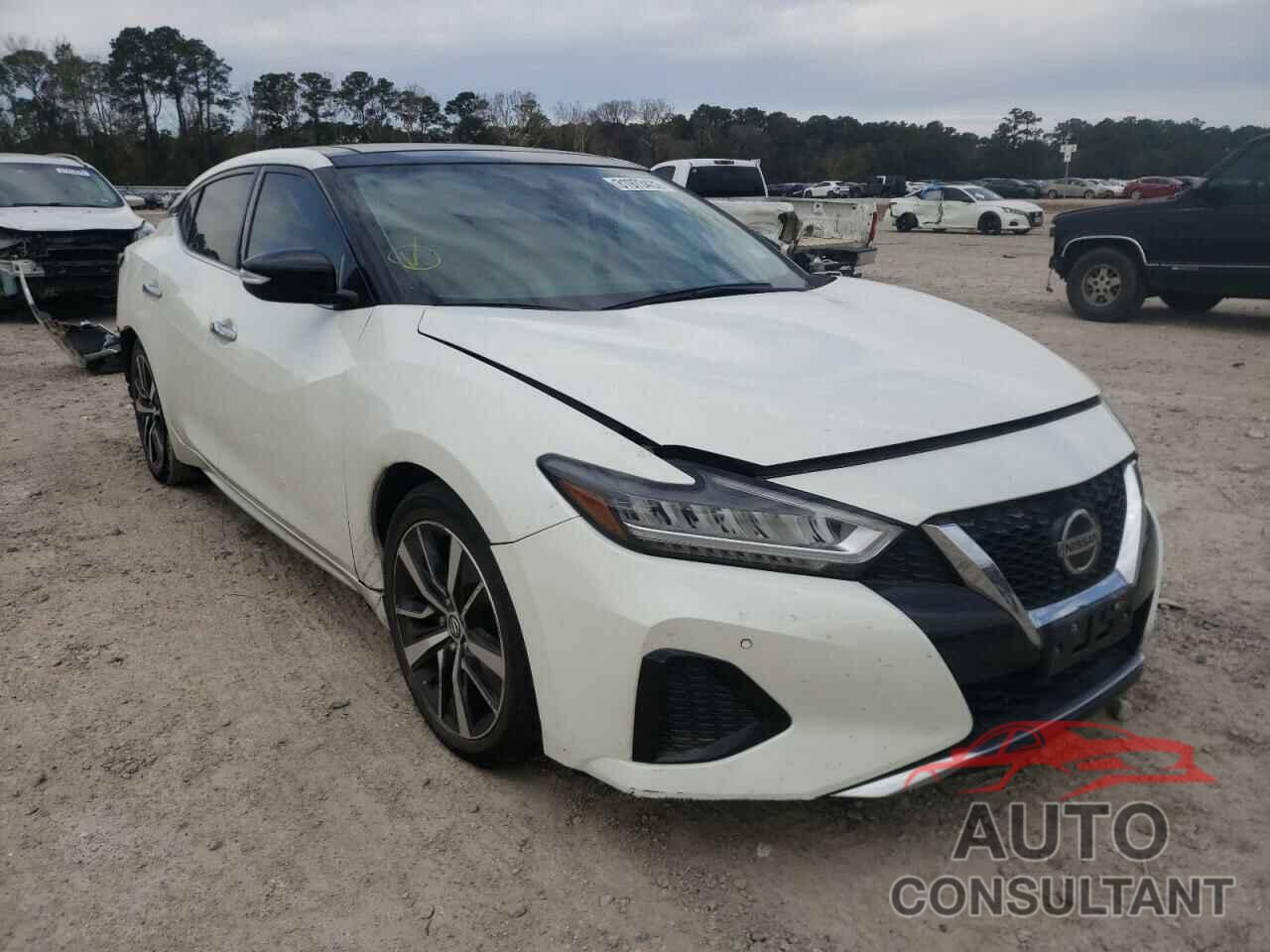 NISSAN MAXIMA 2019 - 1N4AA6AV1KC366894