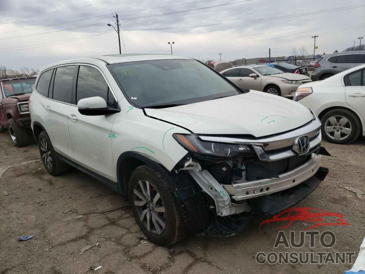 HONDA PILOT 2019 - 5FNYF6H53KB021501