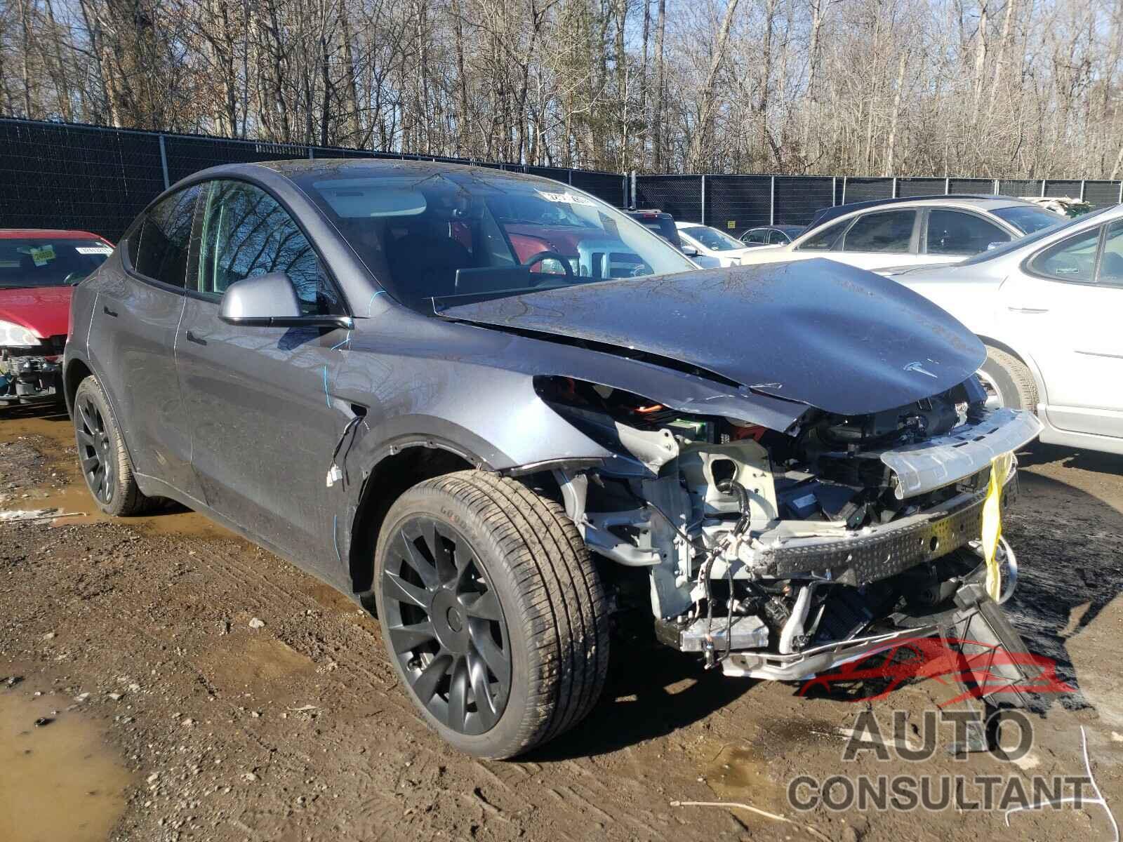 TESLA MODEL Y 2020 - LVY982MK2JP015530