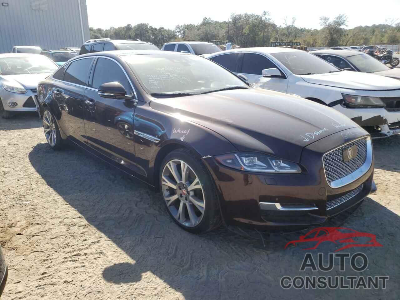 JAGUAR XJ 2019 - SAJWA2G75K8W19902