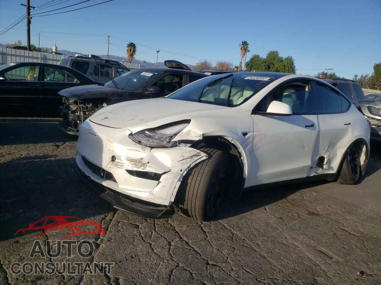 TESLA MODEL Y 2021 - 5YJYGAEE5MF247238