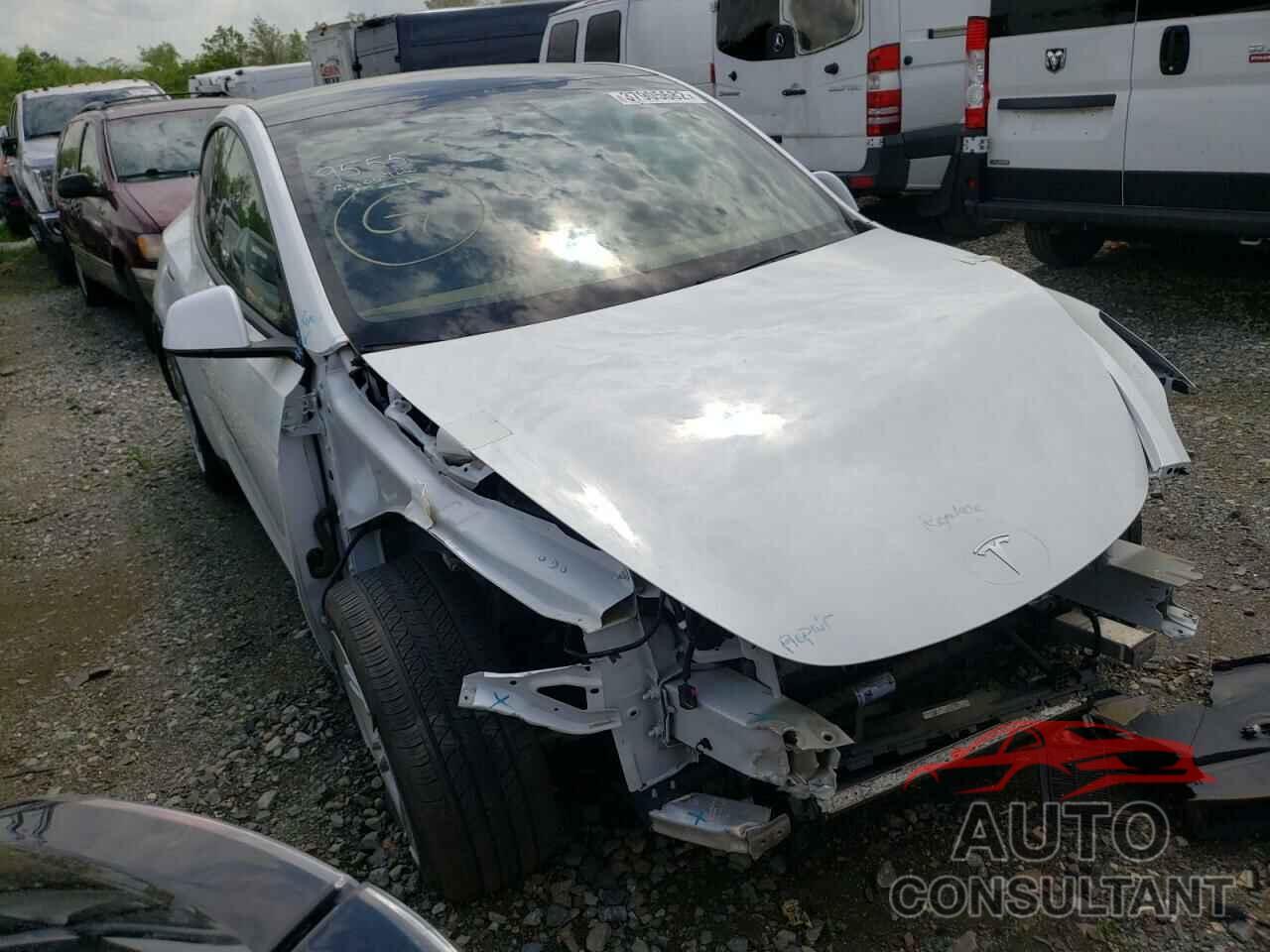 TESLA MODEL Y 2021 - 5YJYGDEE3MF077706