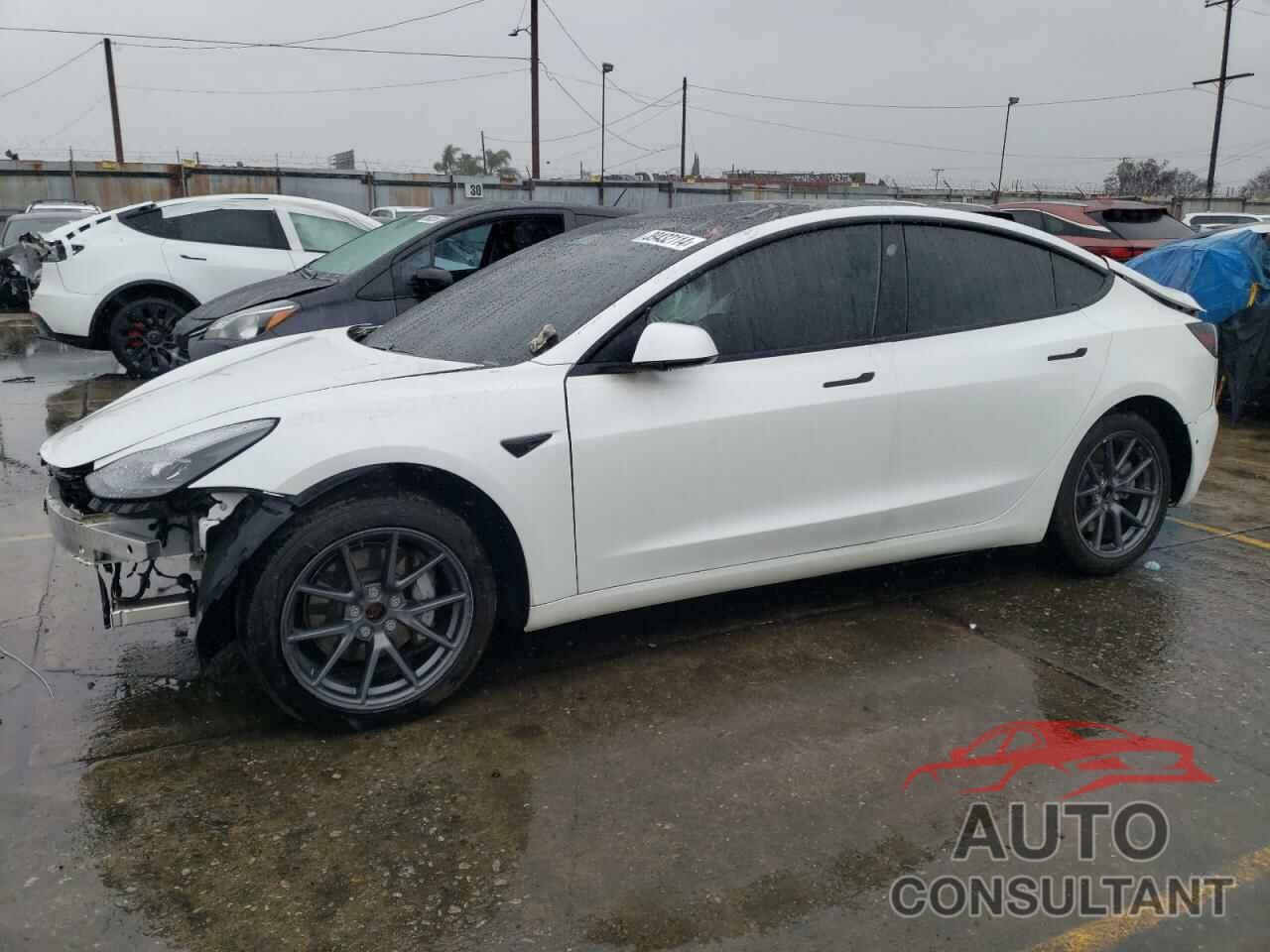TESLA MODEL 3 2021 - 5YJ3E1EB8MF938088