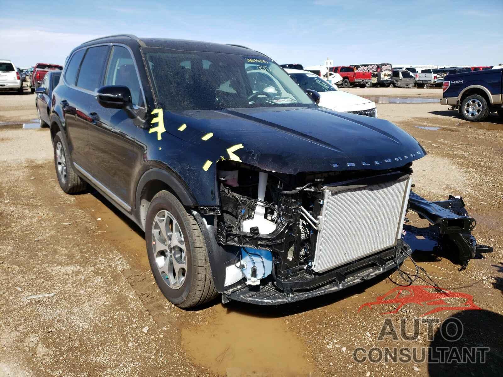 KIA TELLURIDE 2021 - 5XYP3DHCXMG134476