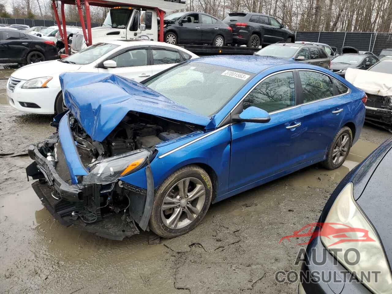 HYUNDAI SONATA 2019 - 5NPE34AF3KH761103