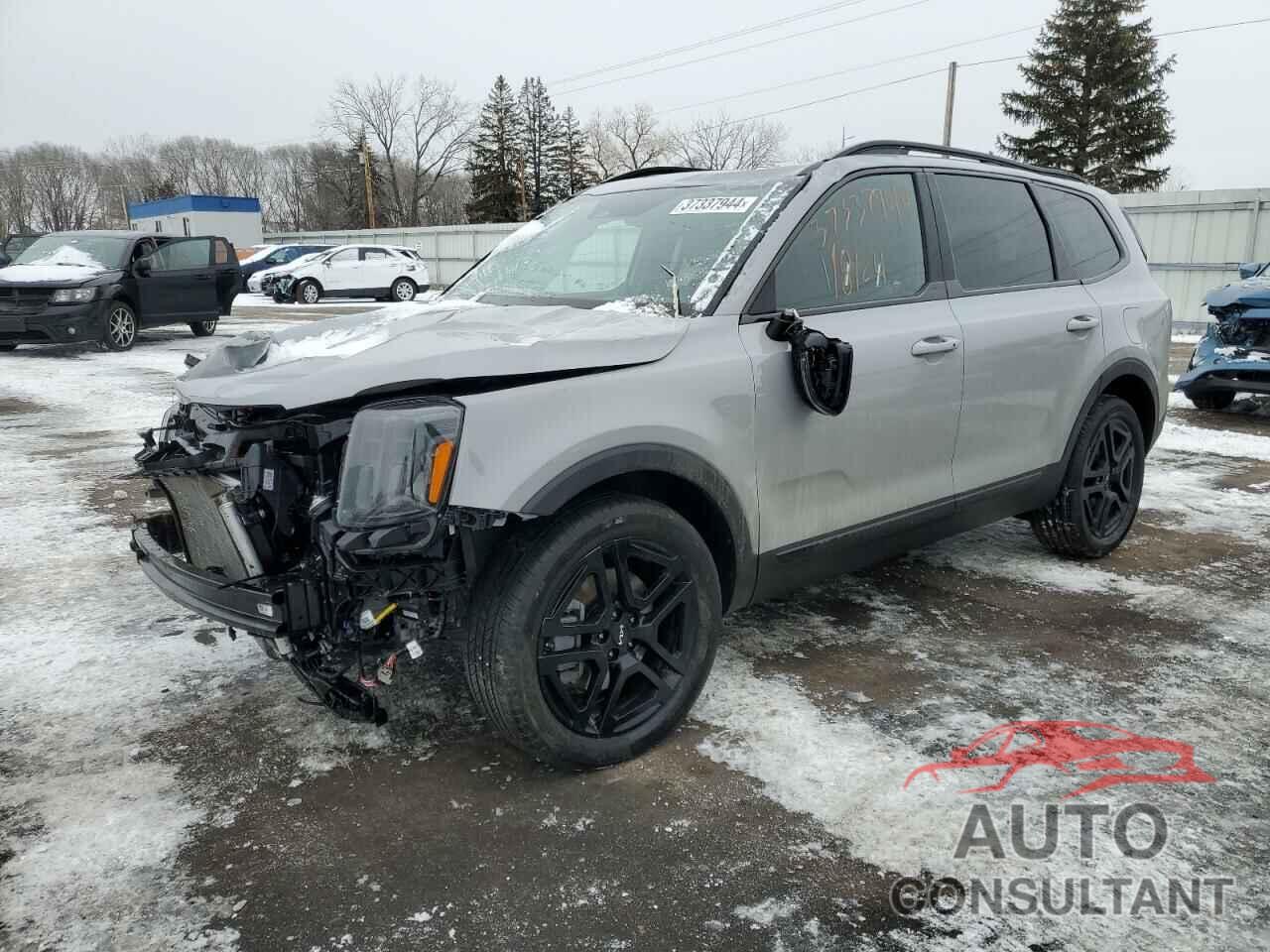 KIA TELLURIDE 2024 - 5XYP3DGC5RG446083