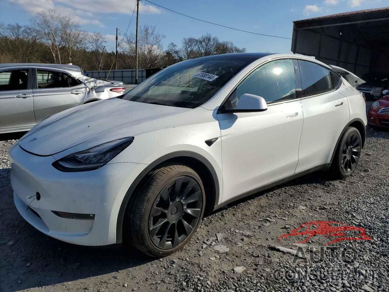 TESLA MODEL Y 2021 - 5YJYGDEE1MF229904