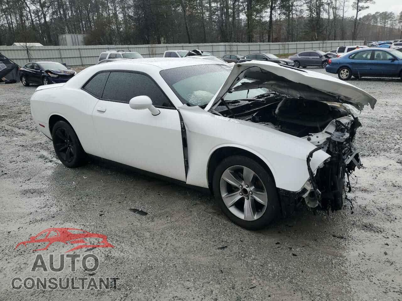 DODGE CHALLENGER 2019 - 2C3CDZAG8KH751786