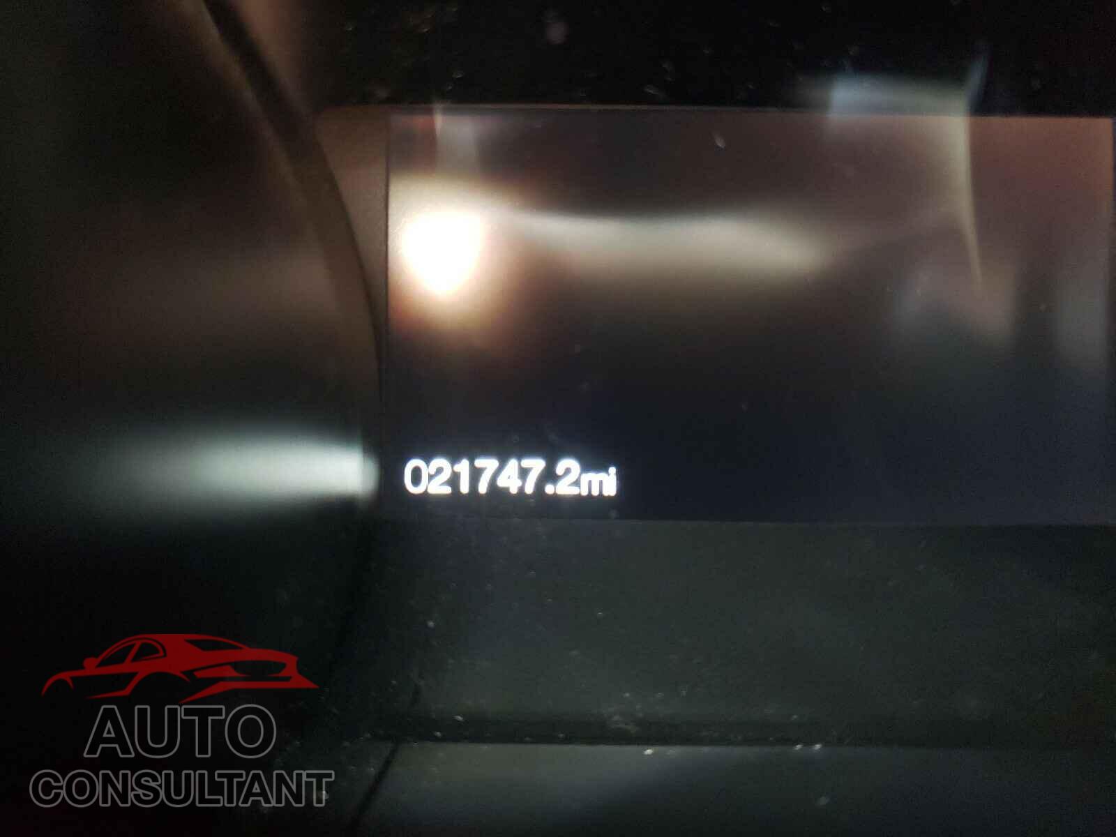 FORD MUSTANG 2019 - 1FA6P8CF4K5111392