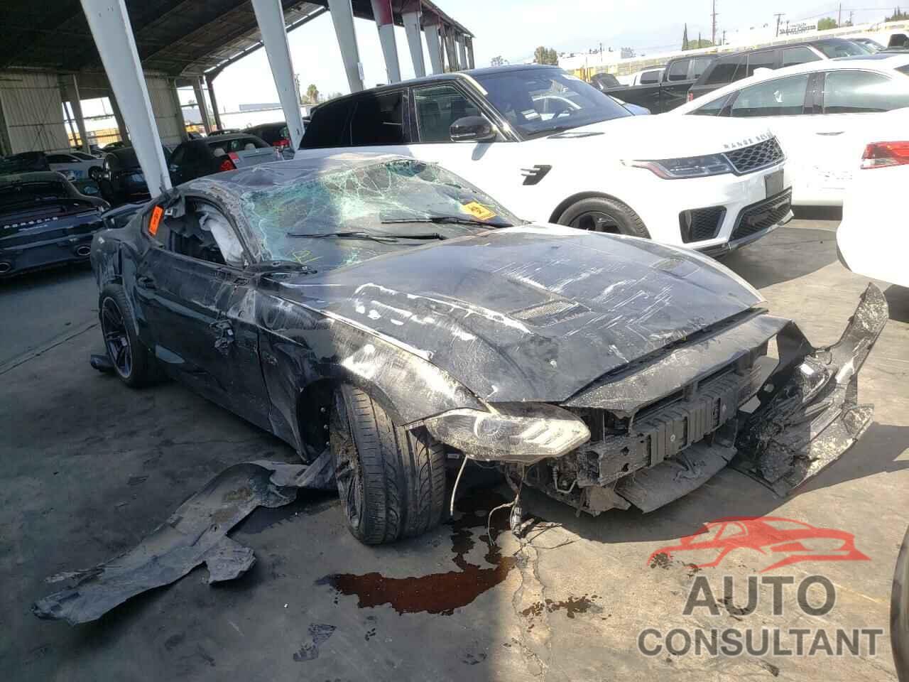 FORD MUSTANG 2019 - 1FA6P8CF0K5203535