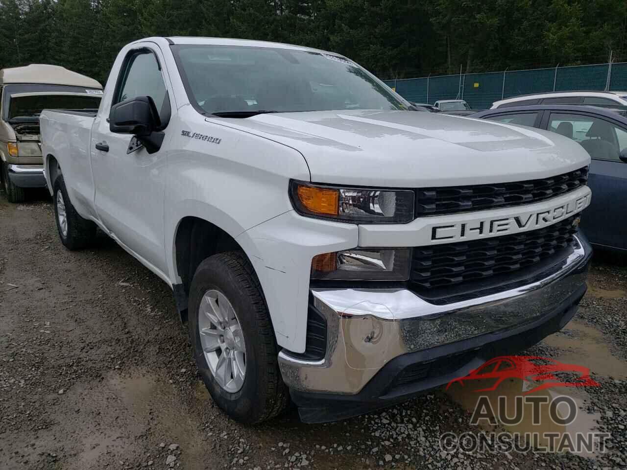 CHEVROLET SILVERADO 2019 - 3GCNWAEF7KG309938