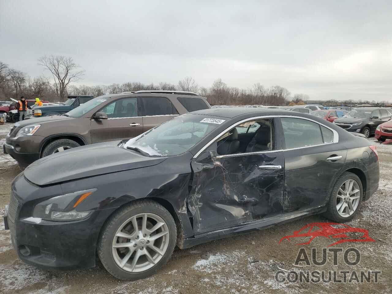 NISSAN MAXIMA 2011 - 1N4AA5AP0BC864466