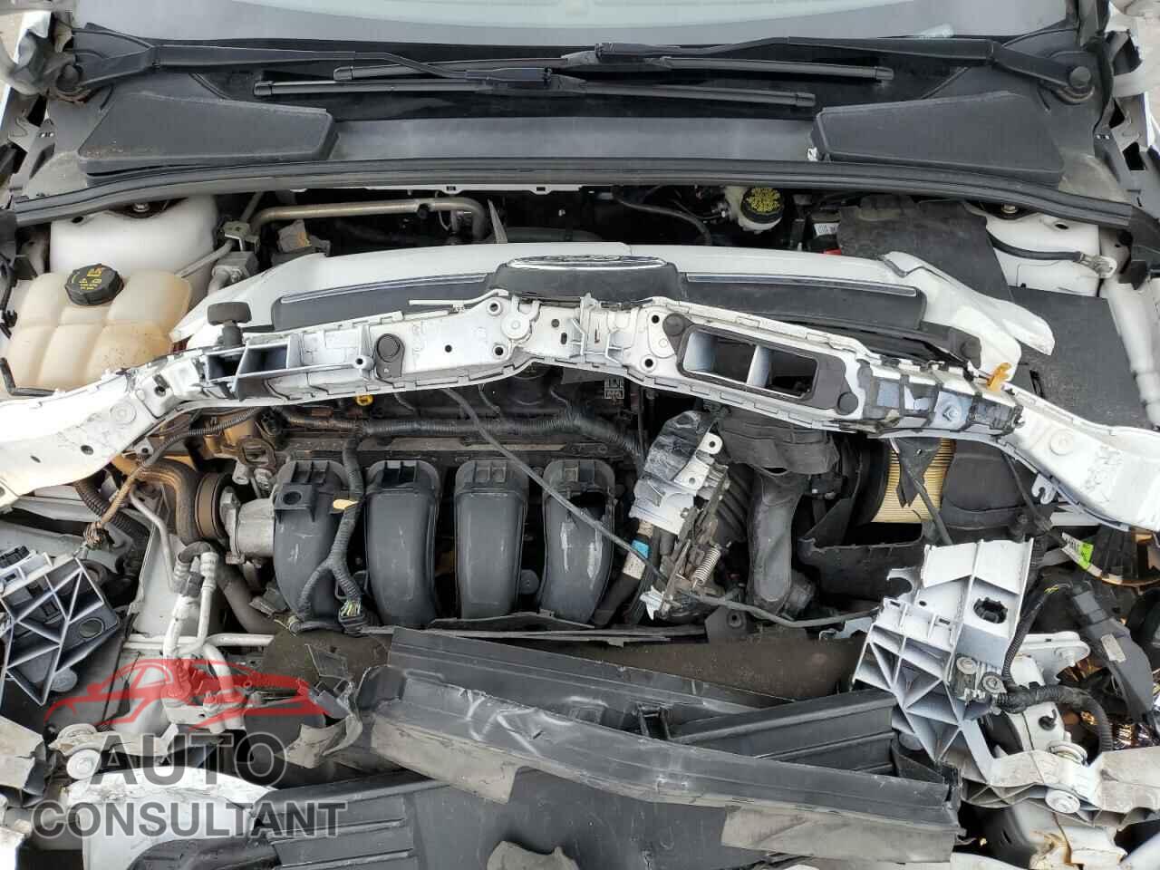 FORD FOCUS 2014 - 1FADP3F24EL177461