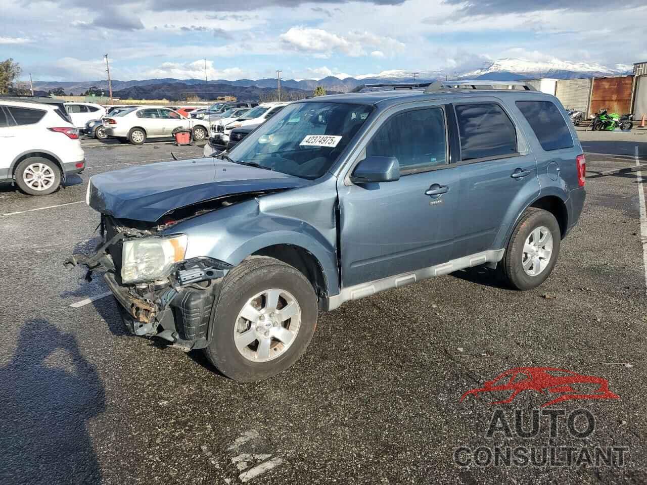 FORD ESCAPE 2010 - 1FMCU0E7XAKA43334
