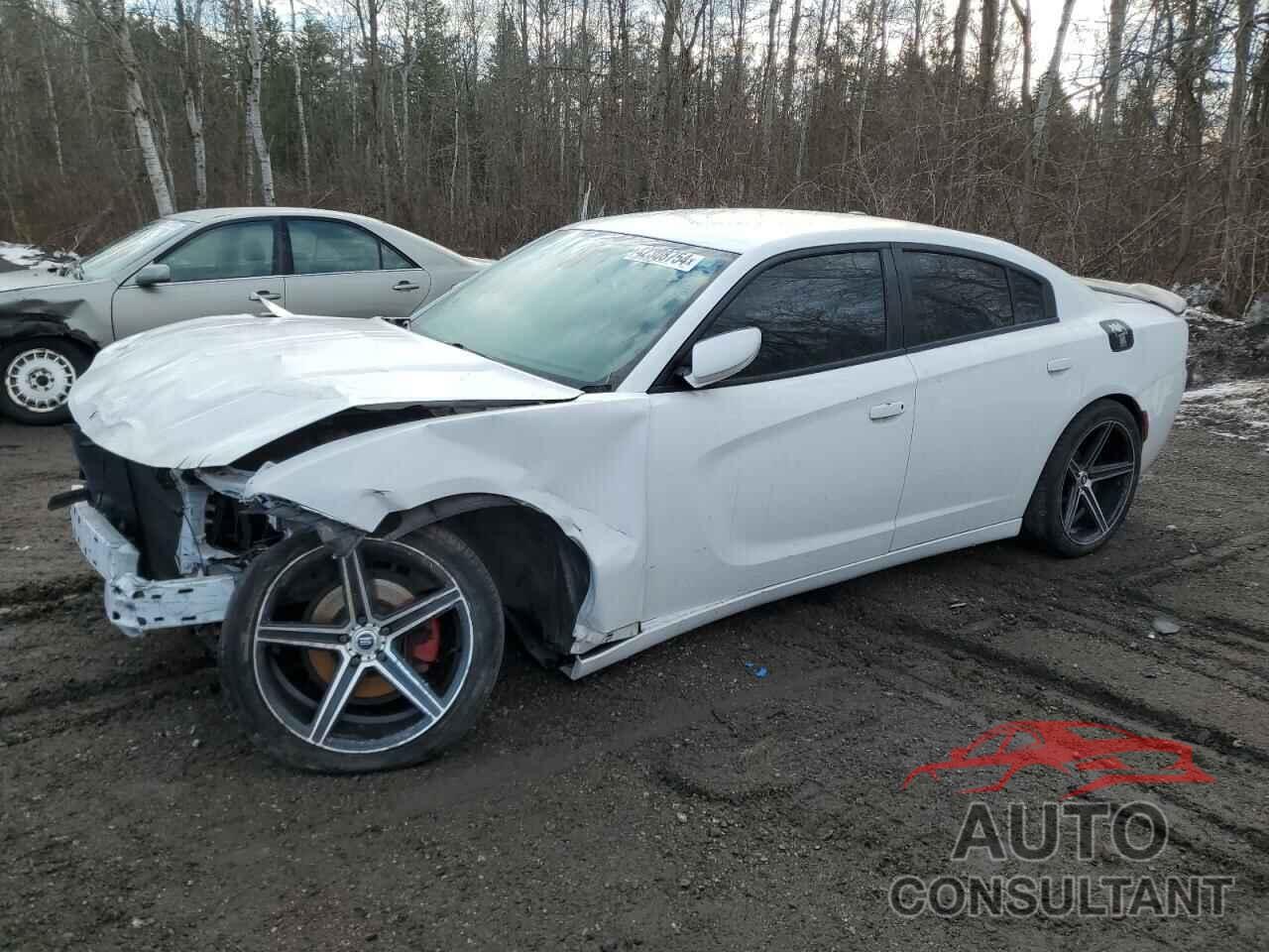 DODGE CHARGER 2019 - 2C3CDXBG5KH630717