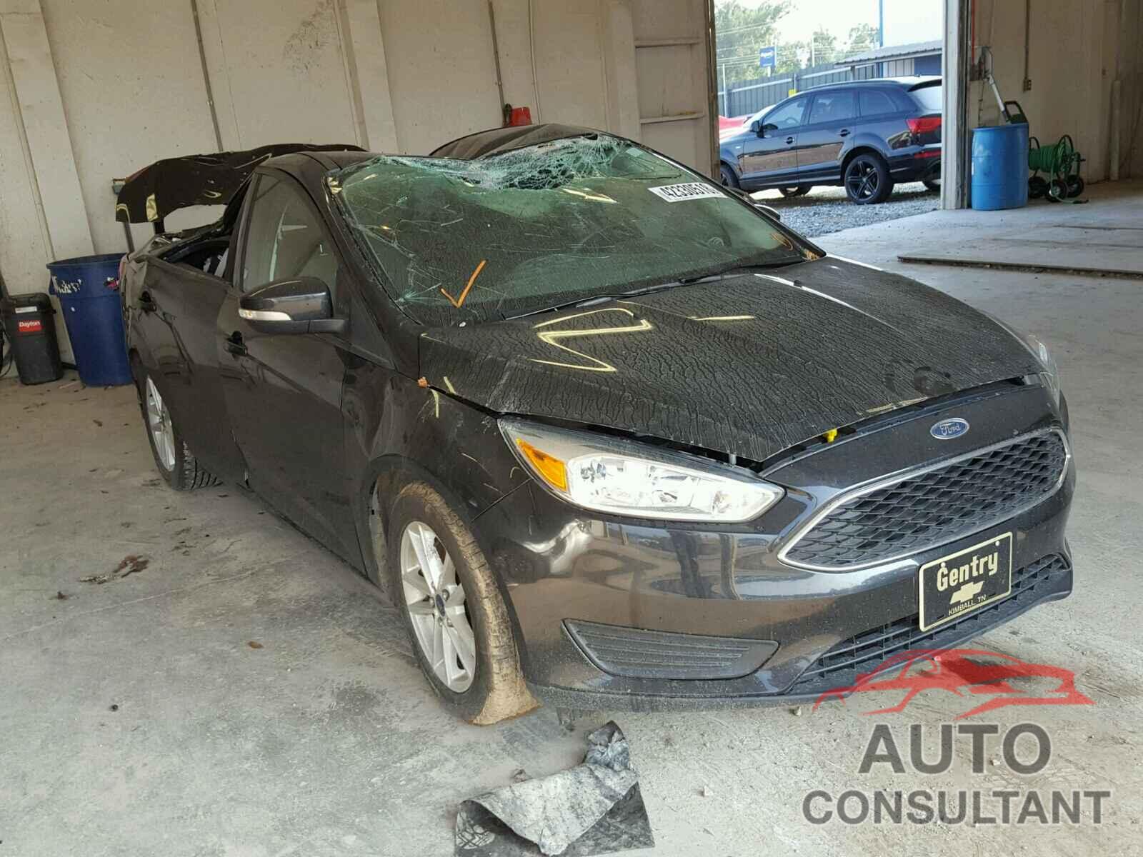 FORD FOCUS 2015 - 1FADP3F28FL316489