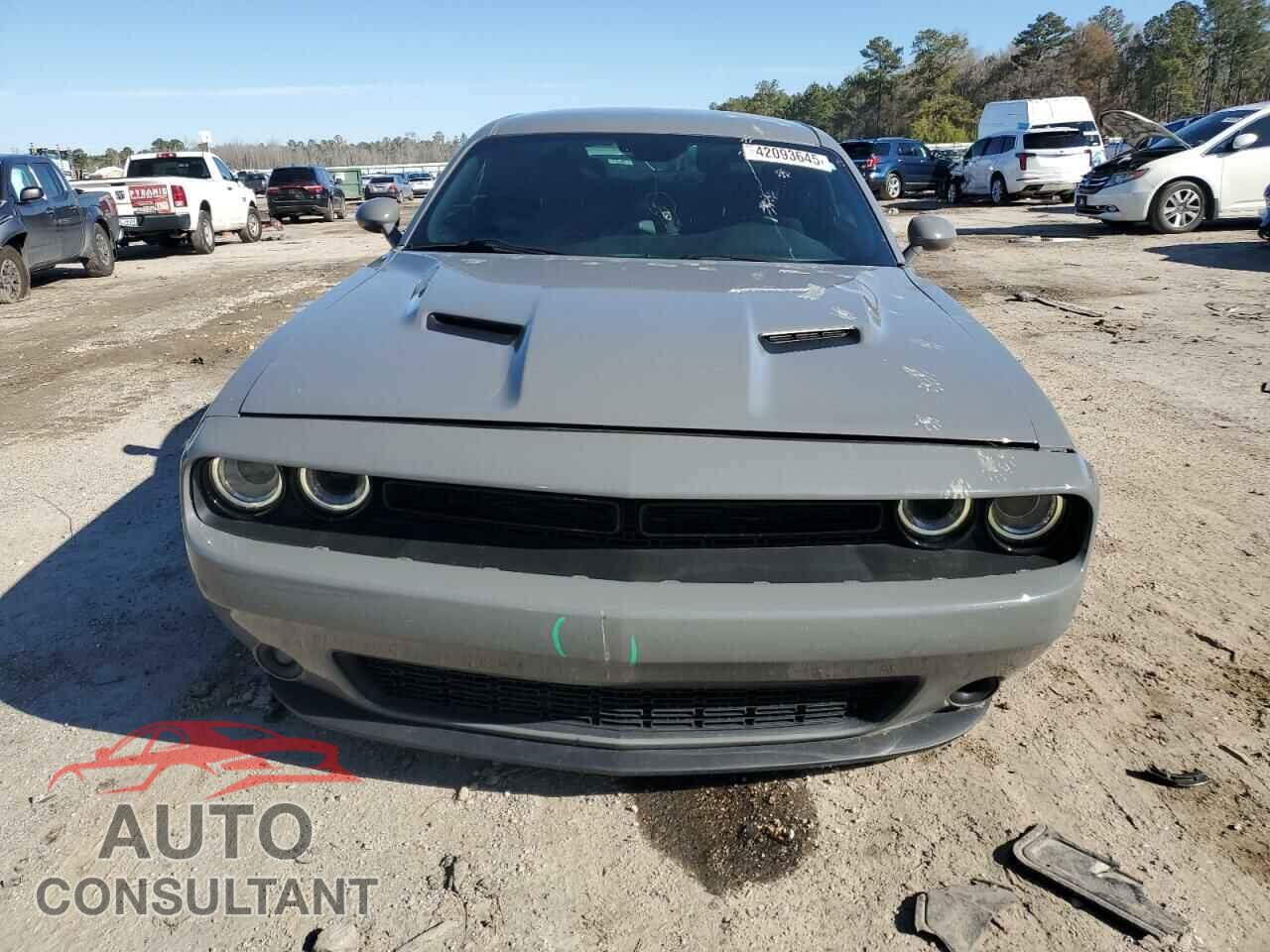 DODGE CHALLENGER 2019 - 2C3CDZAG4KH521999