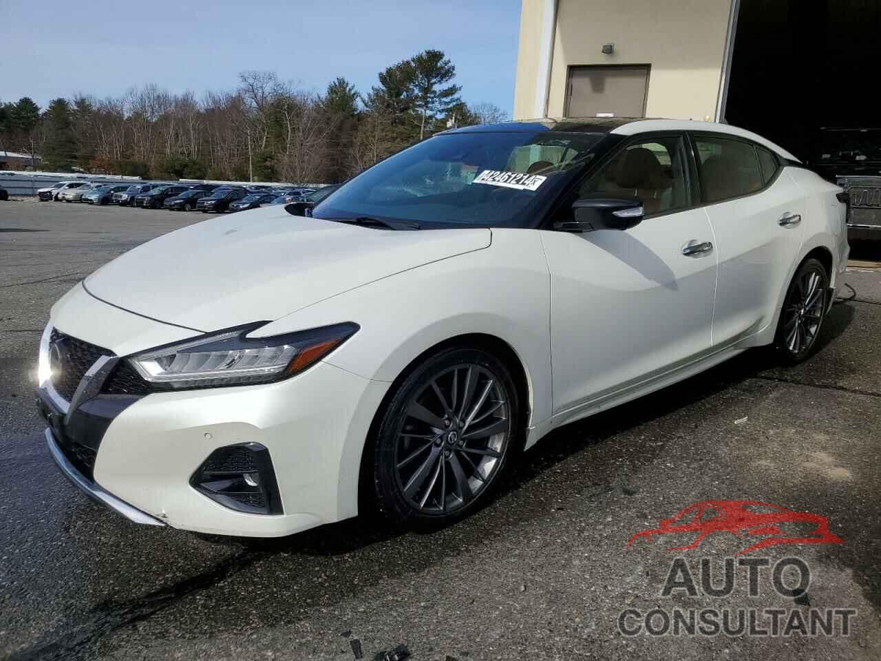 NISSAN MAXIMA 2019 - 1N4AA6AVXKC378090