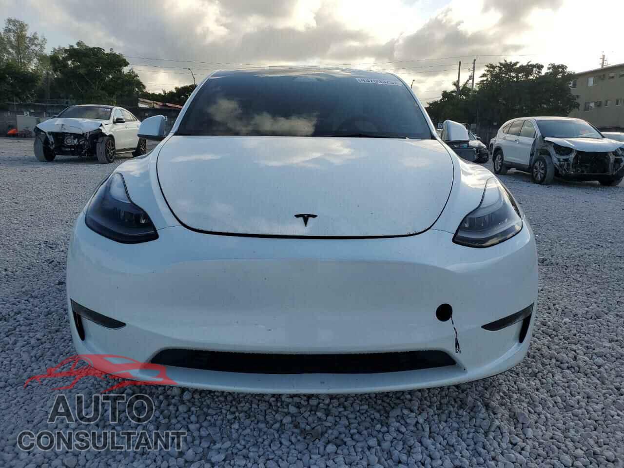 TESLA MODEL Y 2023 - 7SAYGAEE5PF809727