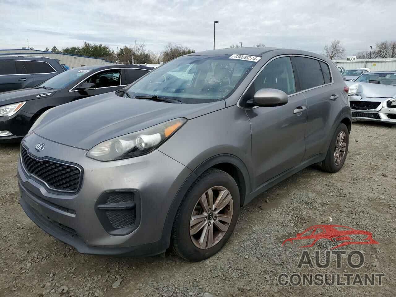 KIA SPORTAGE 2017 - KNDPM3AC8H7153273